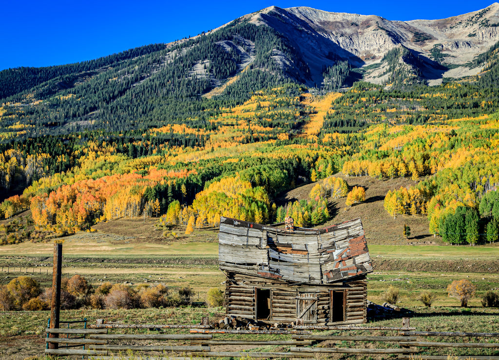 Fall color and abandoned cabin near Crested Butte, Colorado, USA