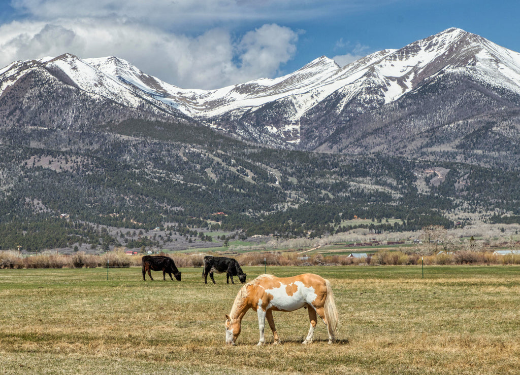 Westcliffe Colorado Sangre De Cristo Mountains America, Colorado USA