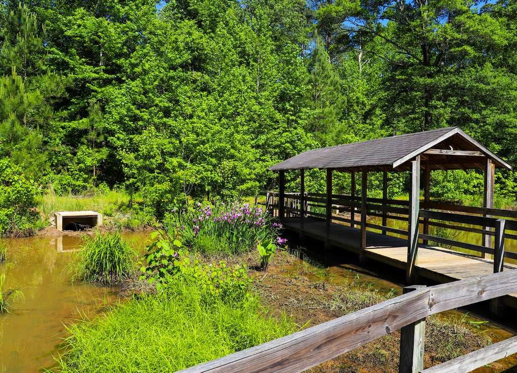 Newman Wetlands Center in Hampton Georgia