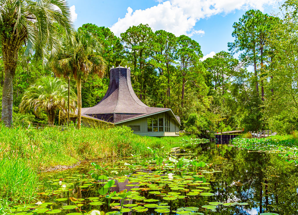 Georgia, US Visitor center of Okefenokee Swamp Park