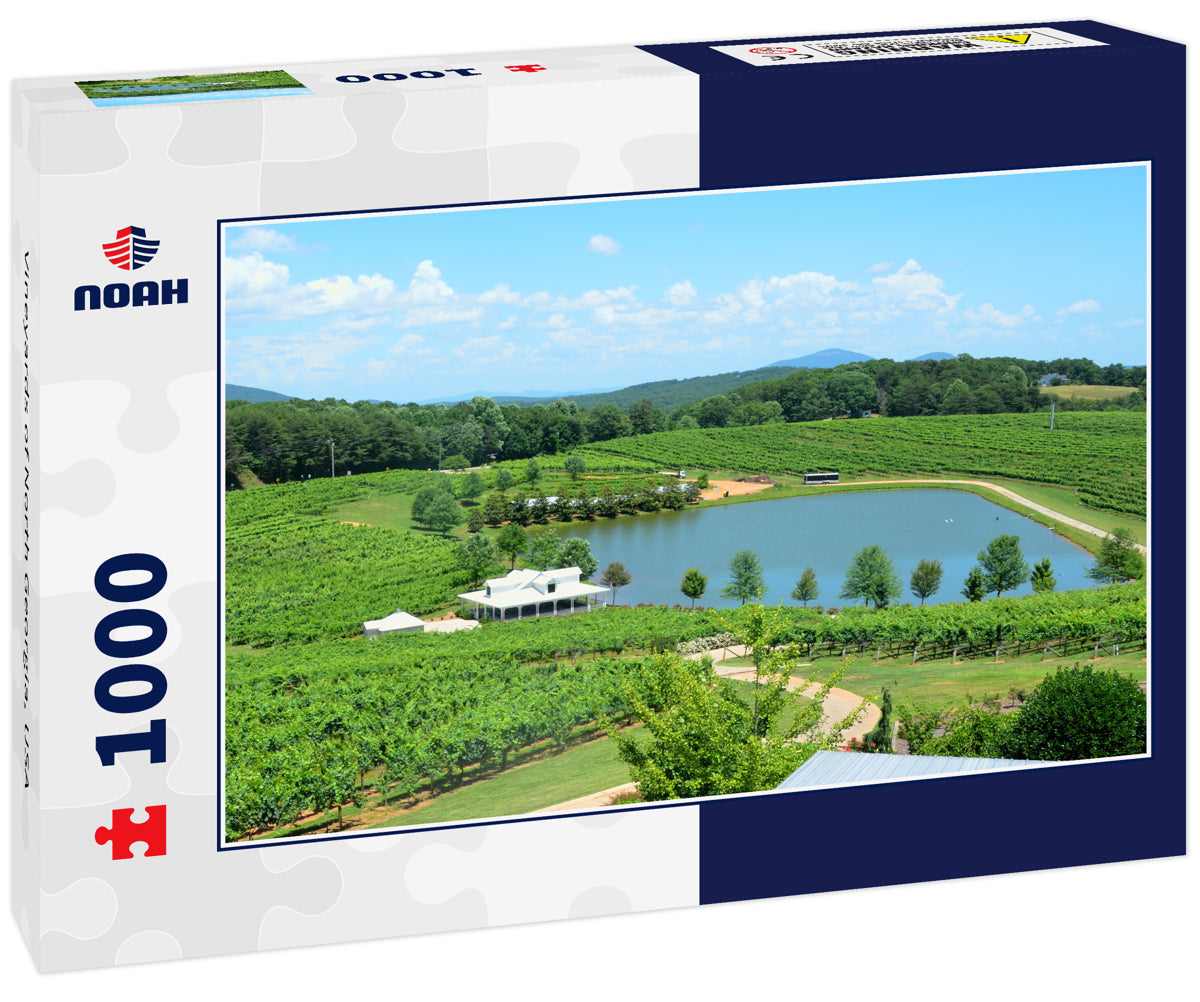 Vineyards of North Georgia, USA