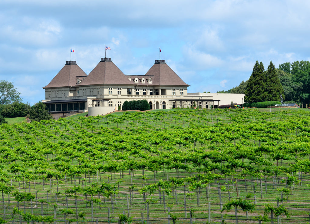 North Georgia Vineyards USA