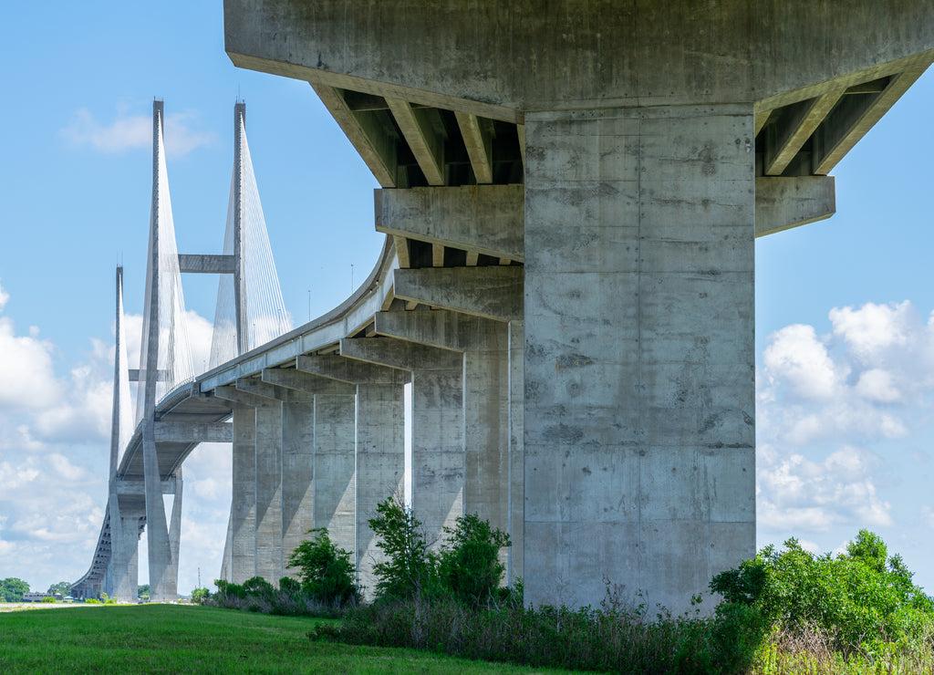 Cable Bridge in Georgia, USA