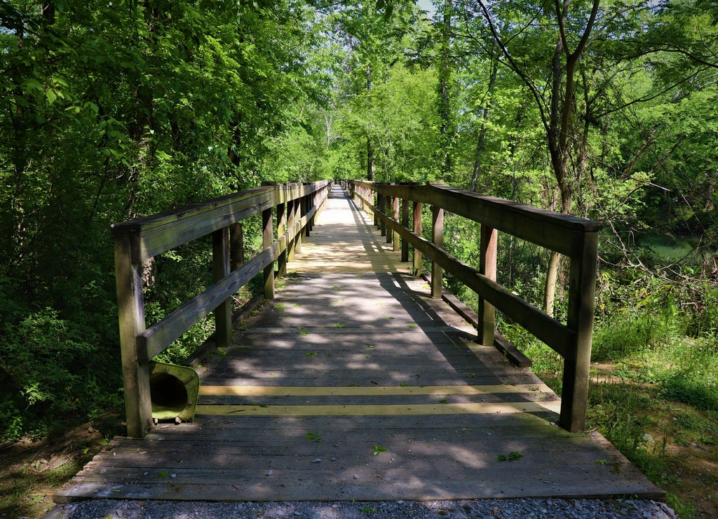 Nature Trail in Ringgold, Georgia