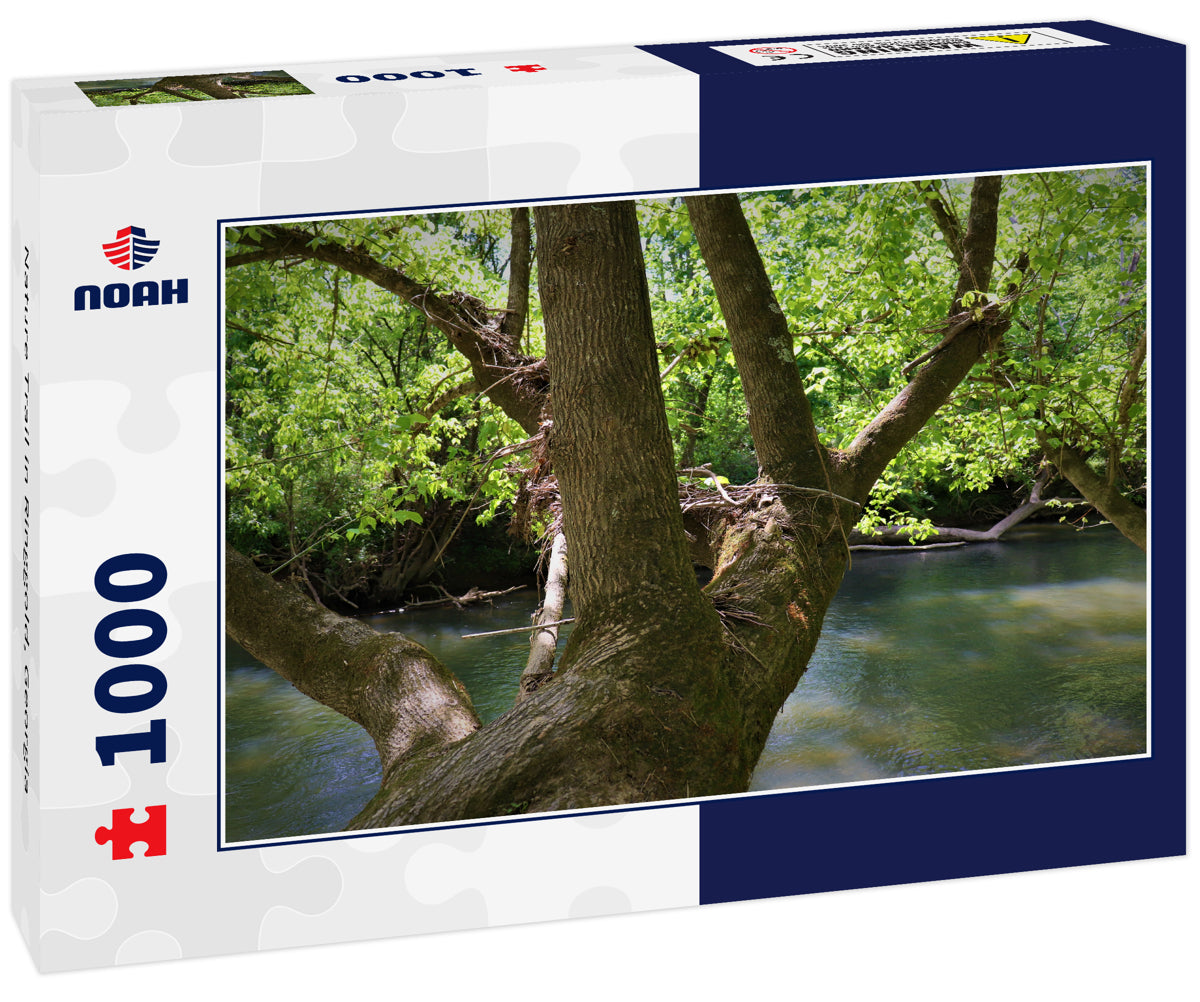 Nature Trail in Ringgold, Georgia