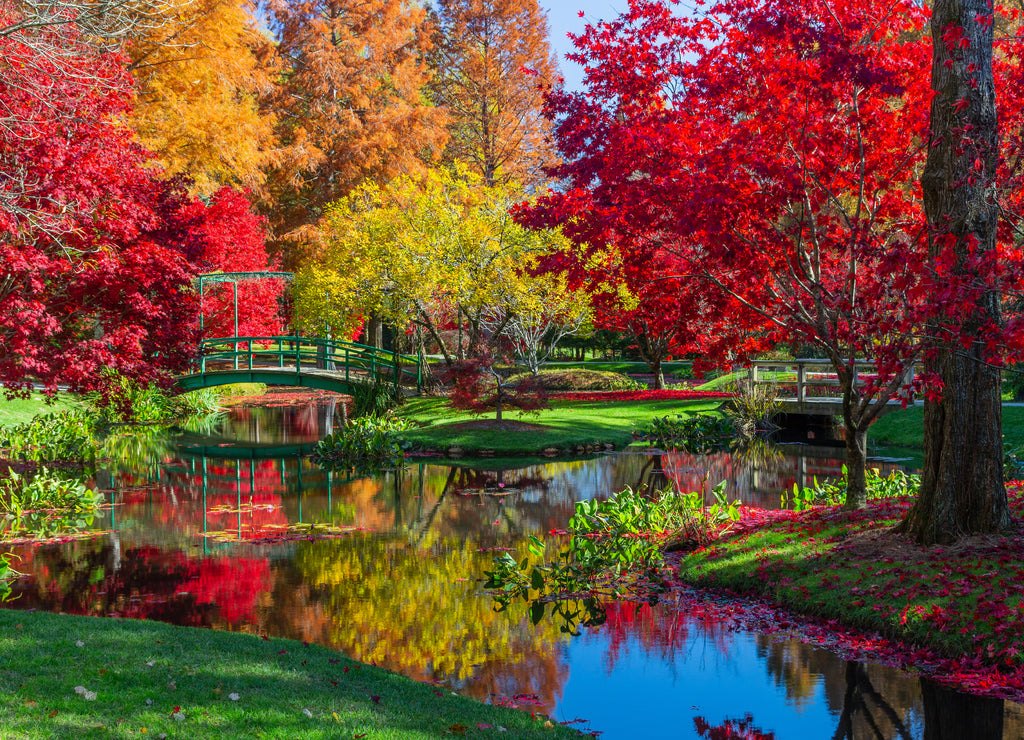 Array of colorful autumn foliage reflecting in a pond at Gibbs Garden in Georgia