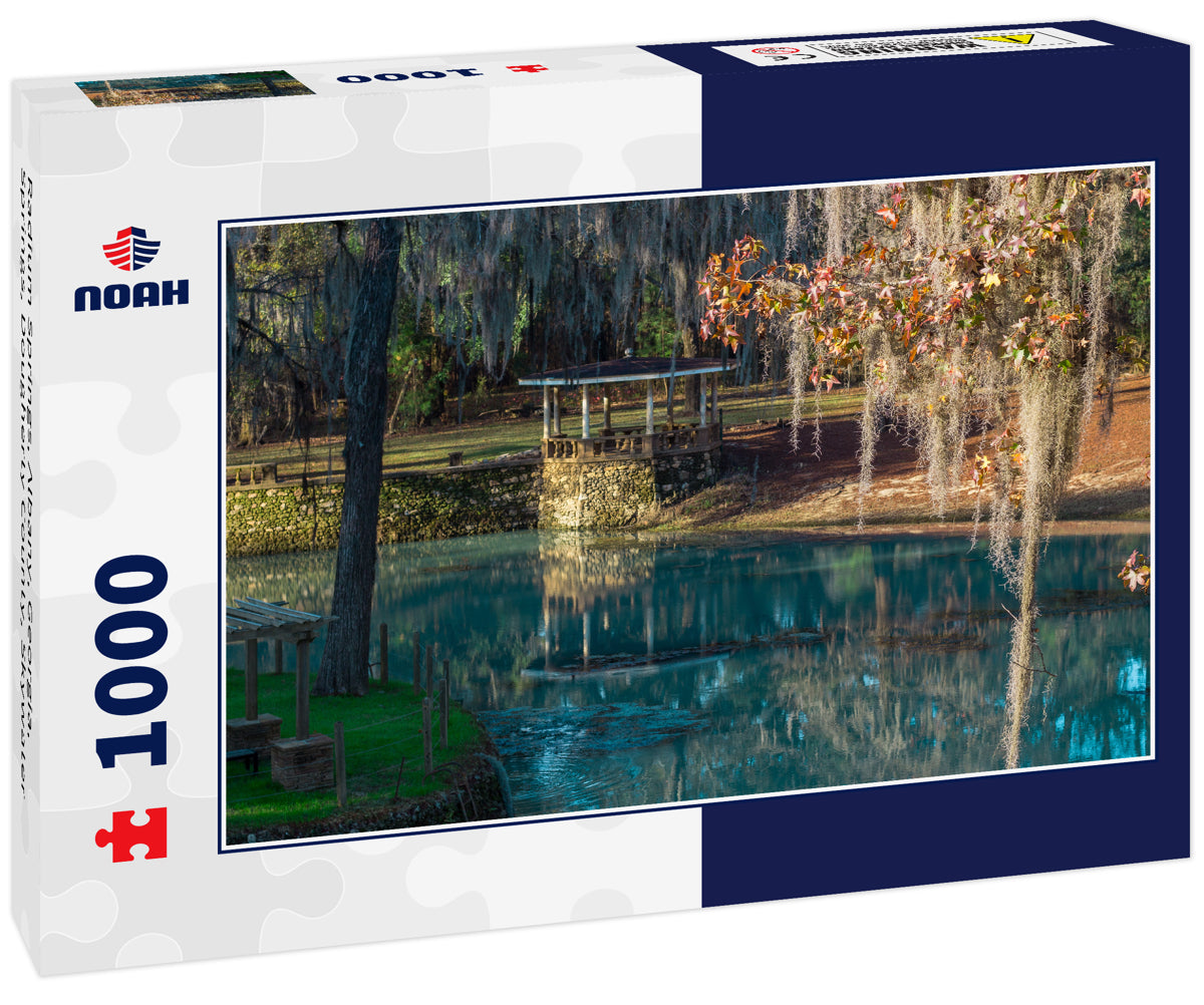 Radium Springs, Albany, Georgia, Springs, Dougherty County, Skywater