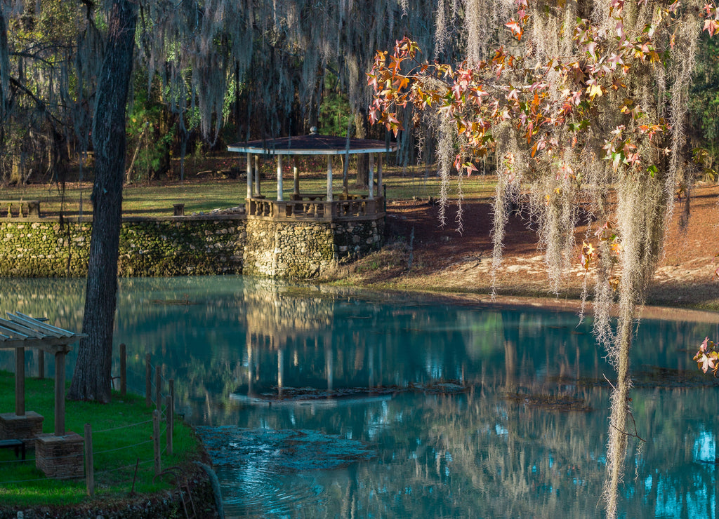 Radium Springs, Albany, Georgia, Springs, Dougherty County, Skywater