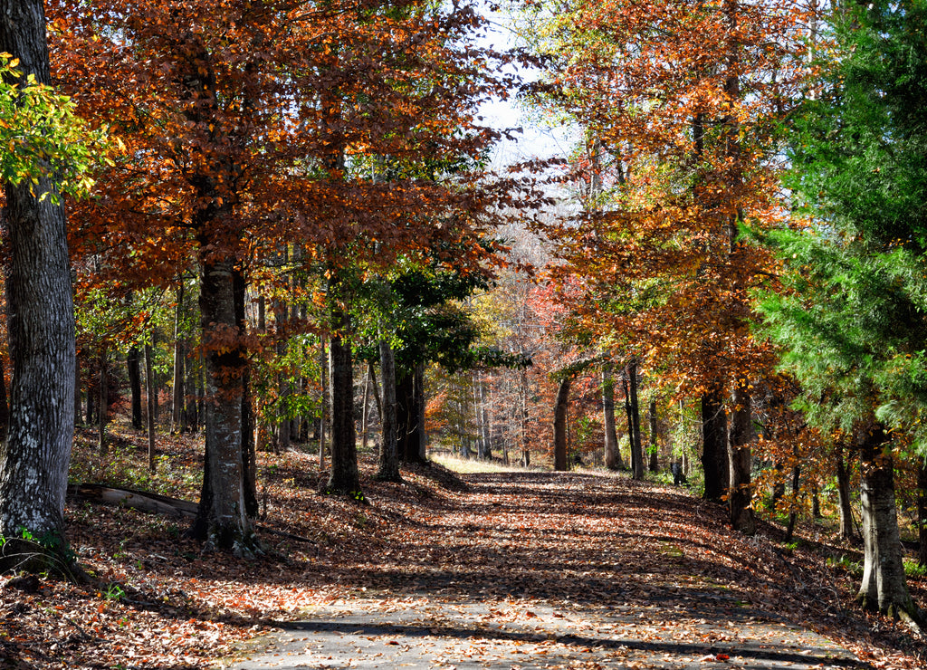 Urban Paved Walking Trail in Hamilton Georgia USA