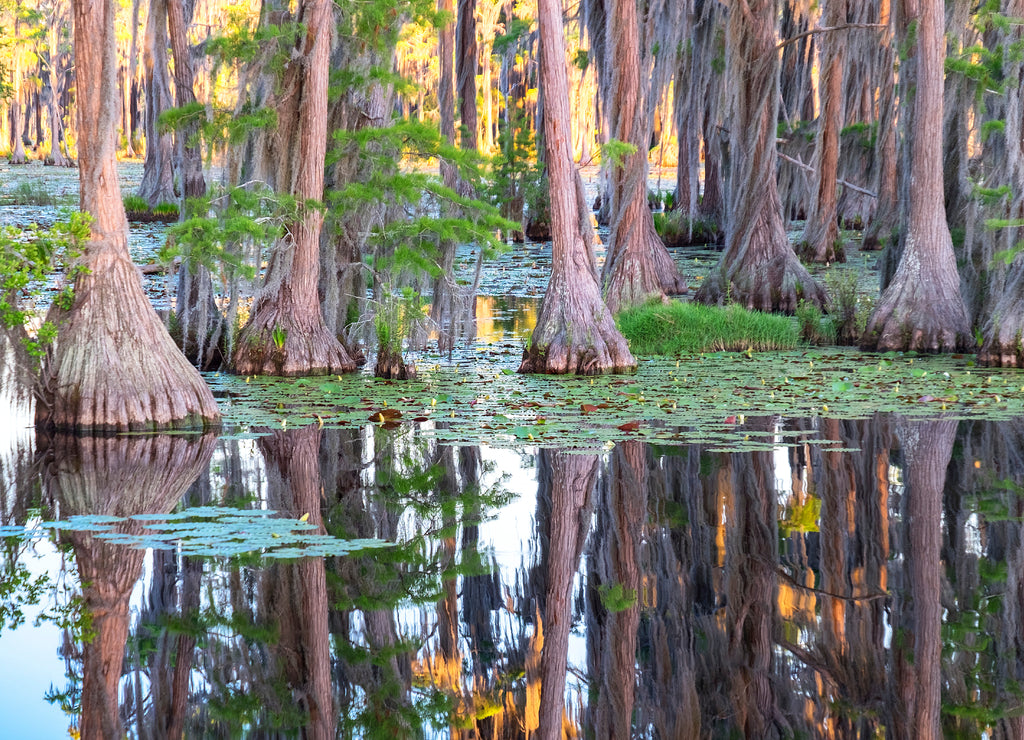 Banks Lake Wildlife Refuge, Lakeland, Georgia