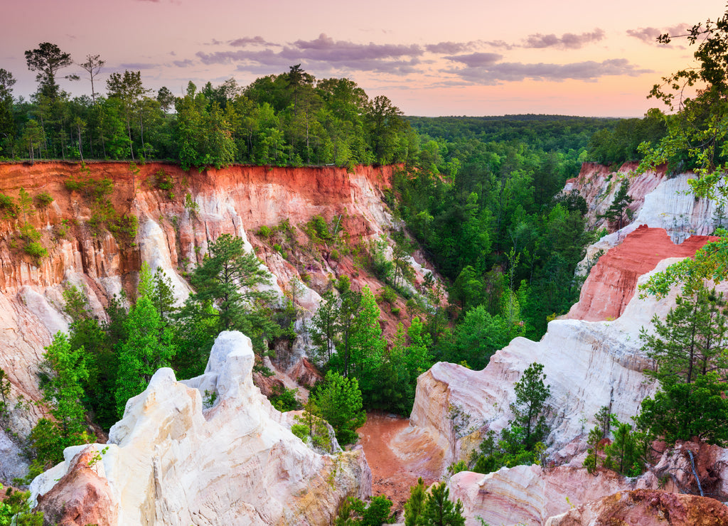 Providence Canyon near Columbus, Georgia