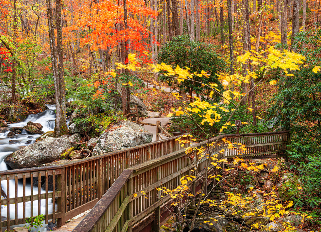 Bridge to Anna Ruby Falls, Georgia, USA