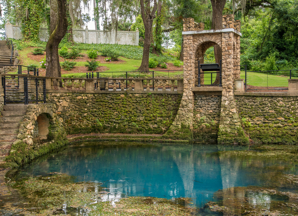 Radium Springs Natural Park, Georgia, USA