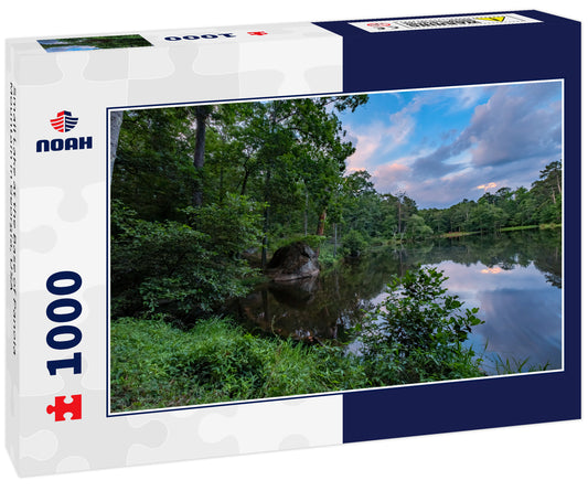 Small Lake at the Base of Panola Mountain in Georgia, USA