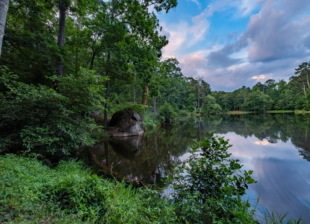 Small Lake at the Base of Panola Mountain in Georgia, USA