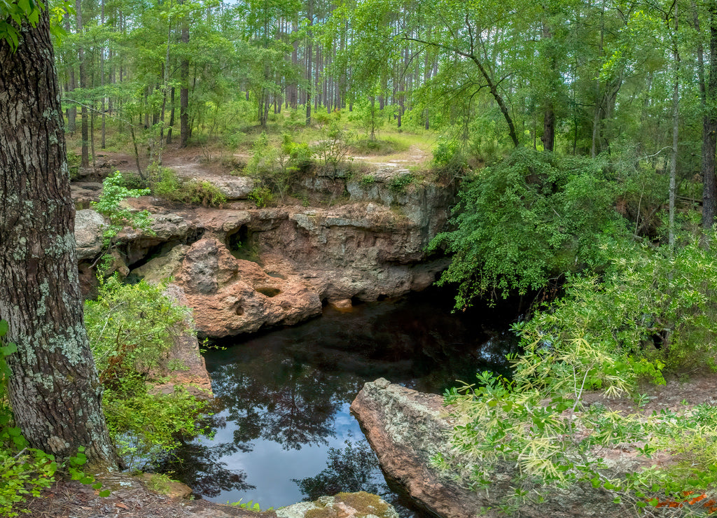 Broxton Rocks Preserve, Broxton, Georgia