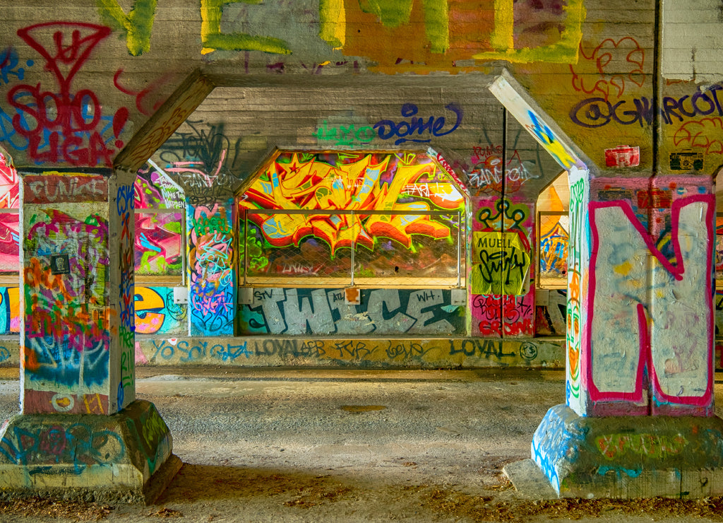 Krog Street Tunnel, Atlanta, Georgia