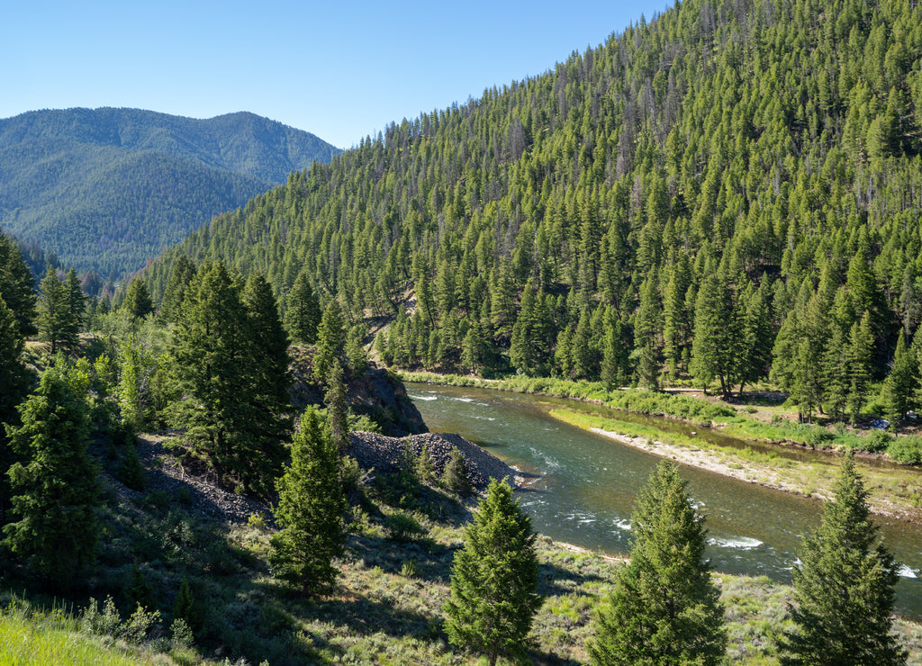 View of the Salmon River in the Salmon-Challis National Forest of Idaho during a sunny summer day