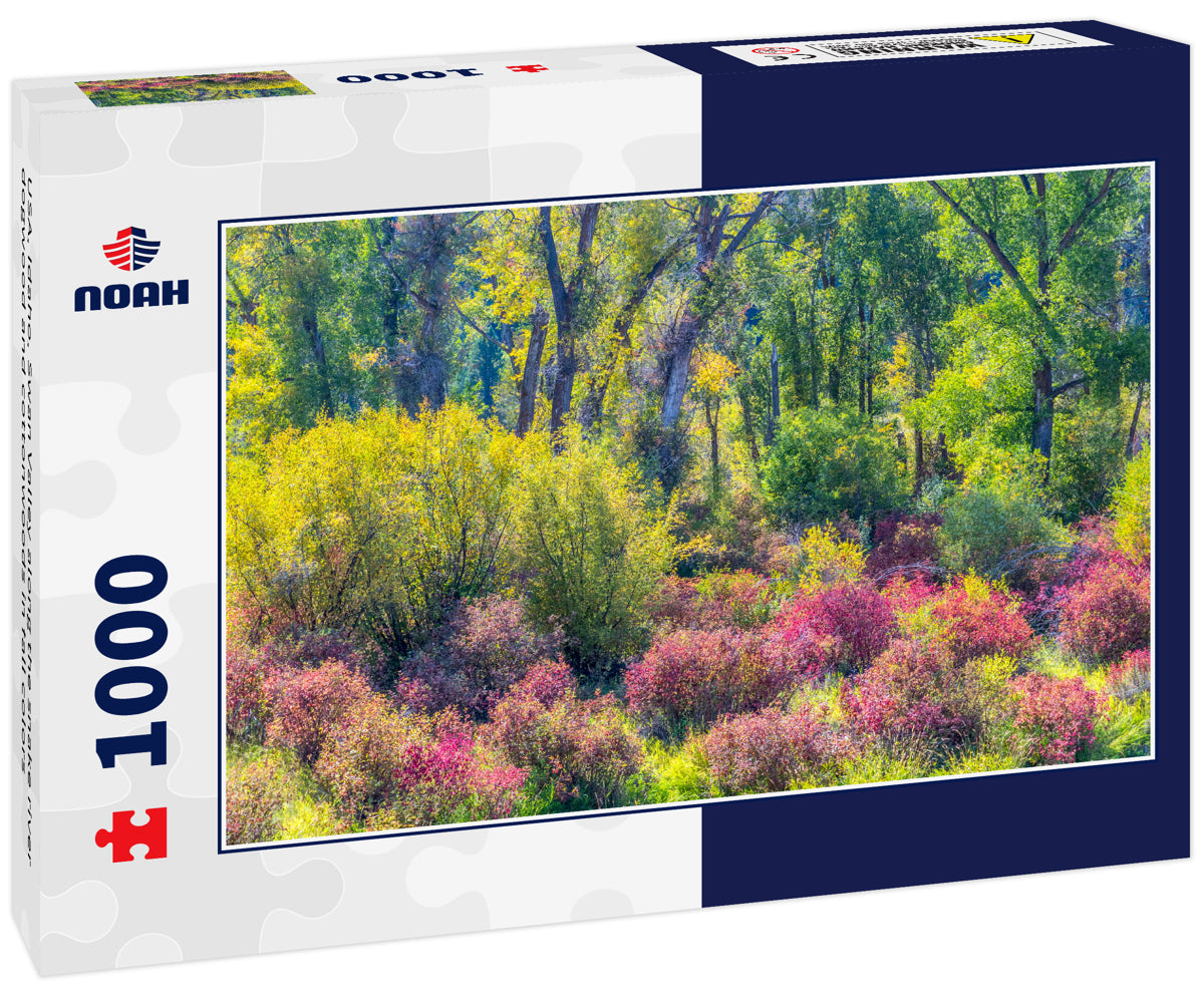 USA, Idaho, Swan Valley along the snake river dogwood and cottonwoods in fall colors