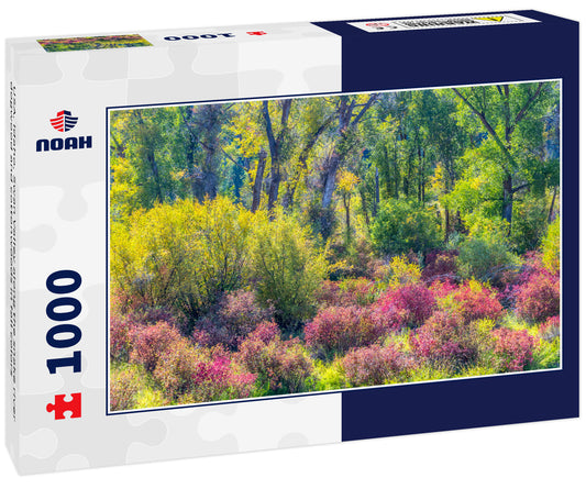 USA, Idaho, Swan Valley along the snake river dogwood and cottonwoods in fall colors