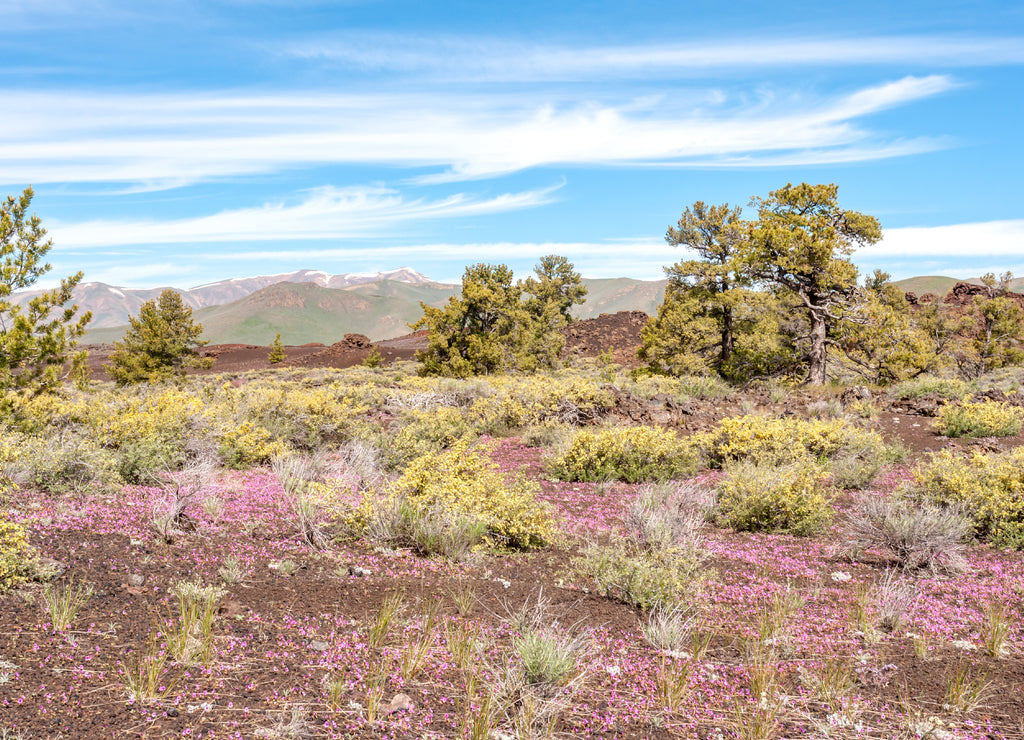 A scenic view at the Craters of the Moon National Monument and Preserve located in Idaho