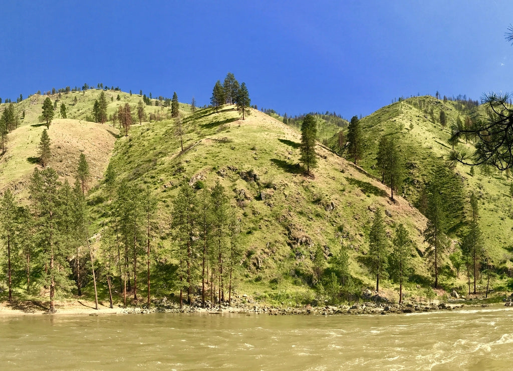 Idaho salmon river