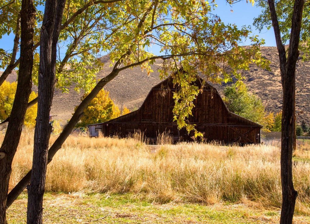 A vintage barn in the fall season at Hailey, Idaho