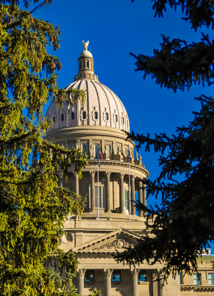 Boise Idaho Capital Building through the Tress