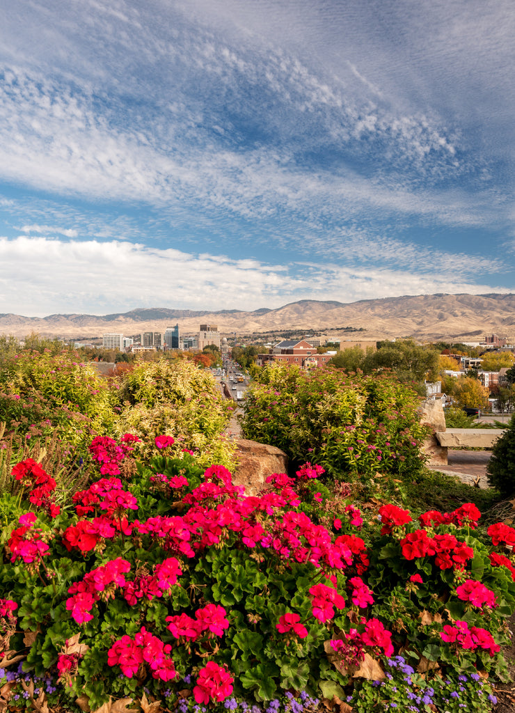 Dramatic and beautifal view of Boise Idaho