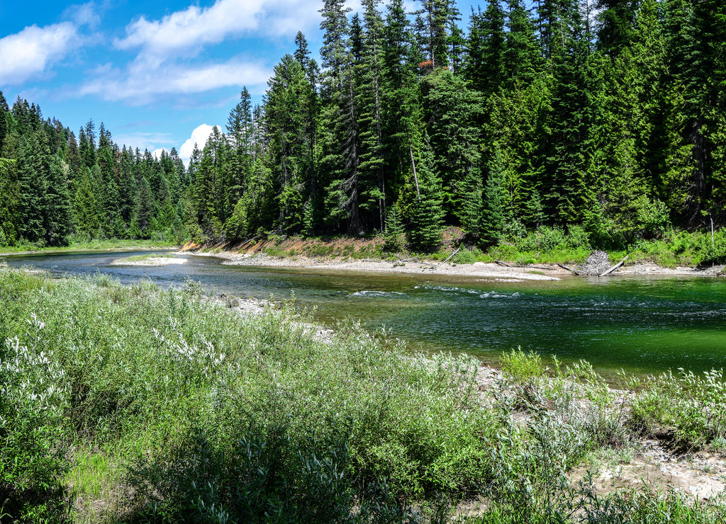 Lamb Creek in Bonner County, Idaho