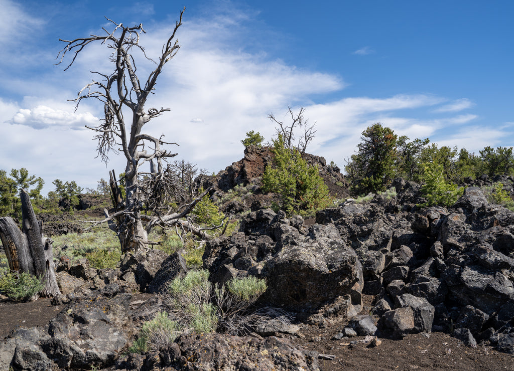 Devils Orchard trail in Craters of the Moon National Monument near Arco, Idaho. Desert sagebrush and volcanic rock