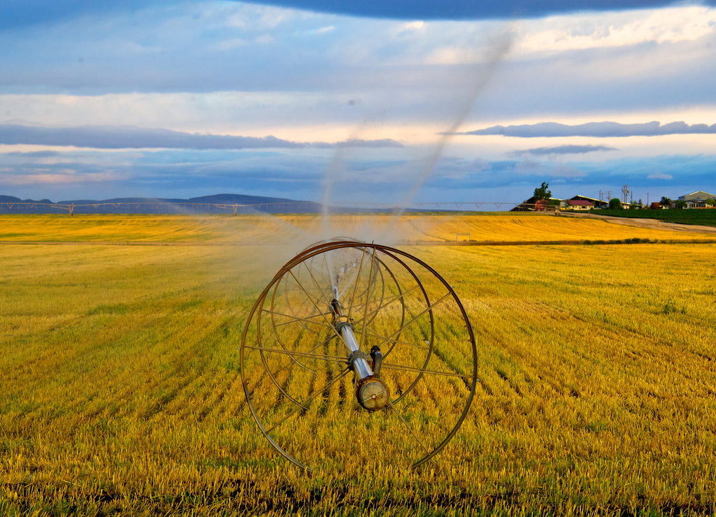 Wheel Line Irrigation system slowly moving across field, Nampa, Idaho