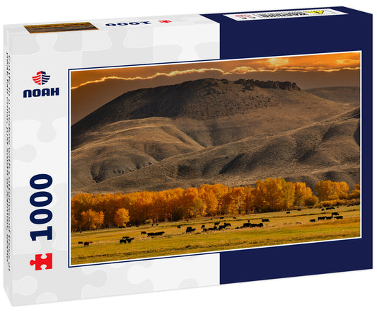 Cattle in a medow with cottonwood trees at peak fall color, just south of Salmon, Idaho