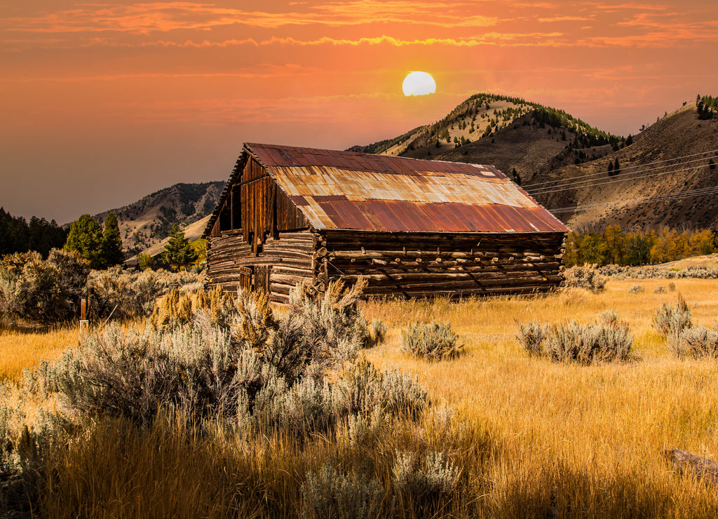 An old vintage log barn just north of the town of Salmon, Idaho. Aspen trees and sage brush surround the barn