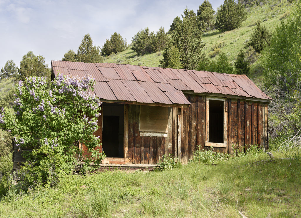 History of Silver City Idaho