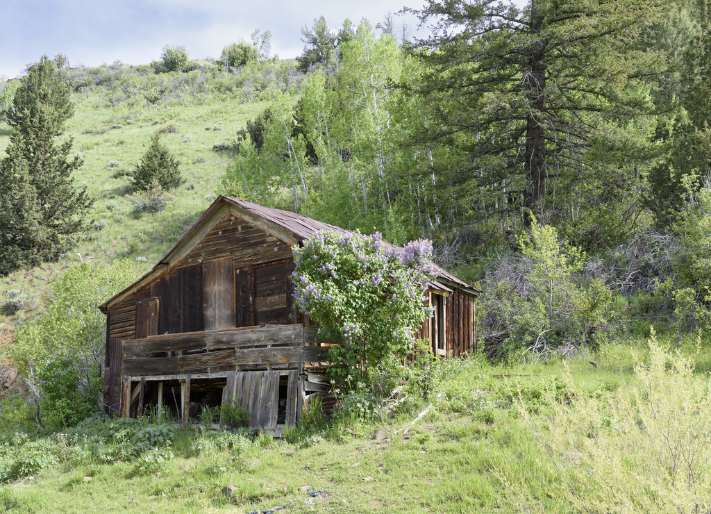 History of Silver City Idaho