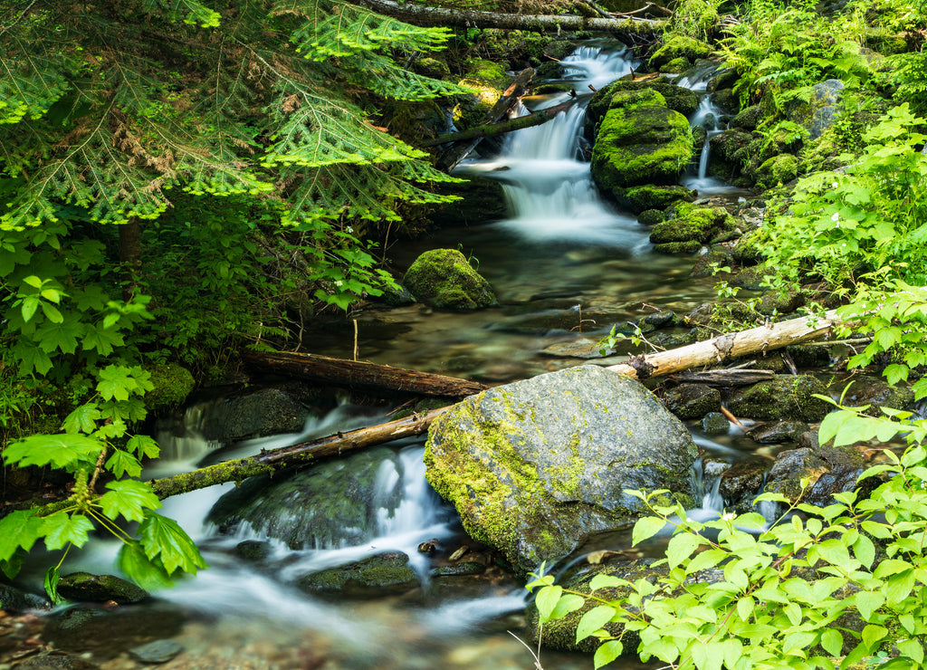Waterfalls on the North Fork Placer Creek, Wallace Idaho