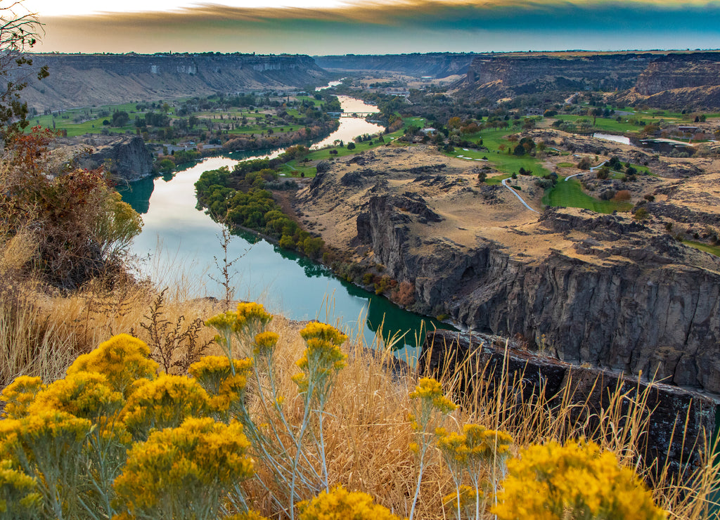 Snake river with wild flowers at sunset in Twin Falls Idaho