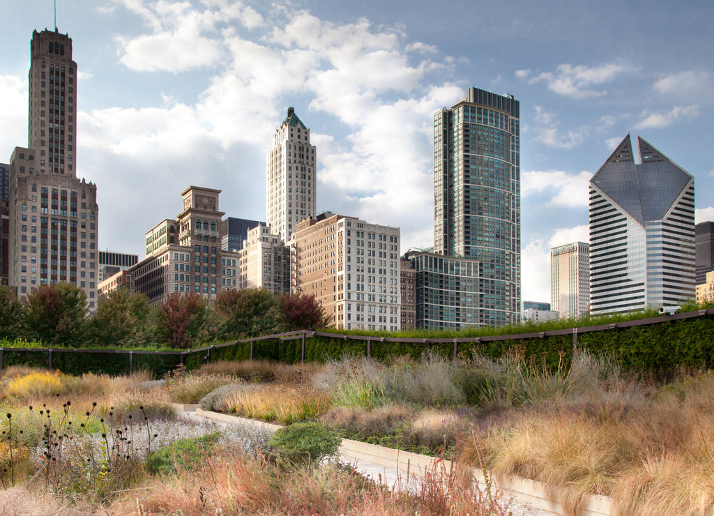 Low angle view of skyscrapers in a city, Chicago, Cook County, Illinois