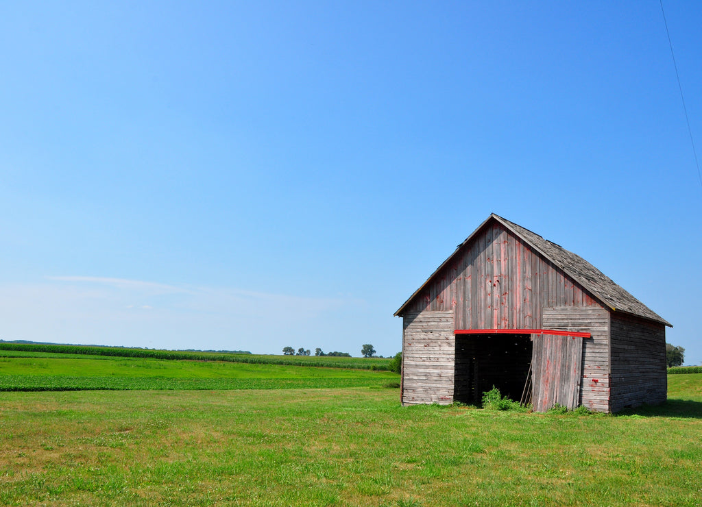 Barn, Whiteside County, Illinois