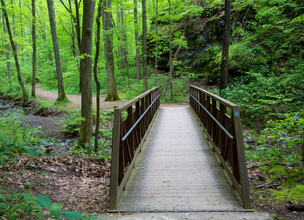 Trail bridge at Ferne Clyffe State Park, Johnson County, Illinois