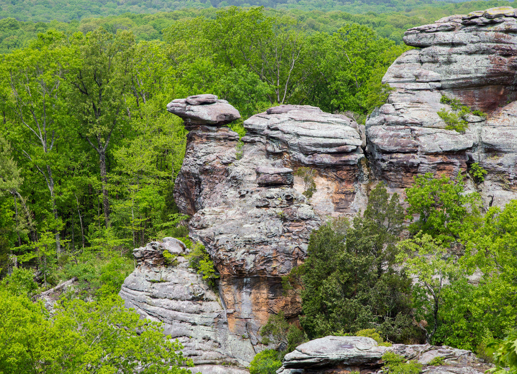 Camel Rock, Garden of the Gods Recreation Area, Shawnee National Forest, Saline County, Illinois