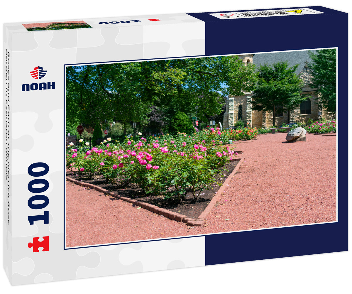 Roses and Path at the Merrick Rose Garden in Evanston Illinois