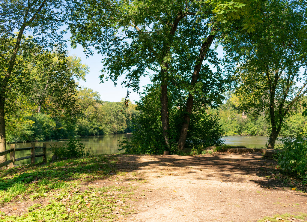 Shoreline of Salt Creek in Oak Brook Illinois during the Summer