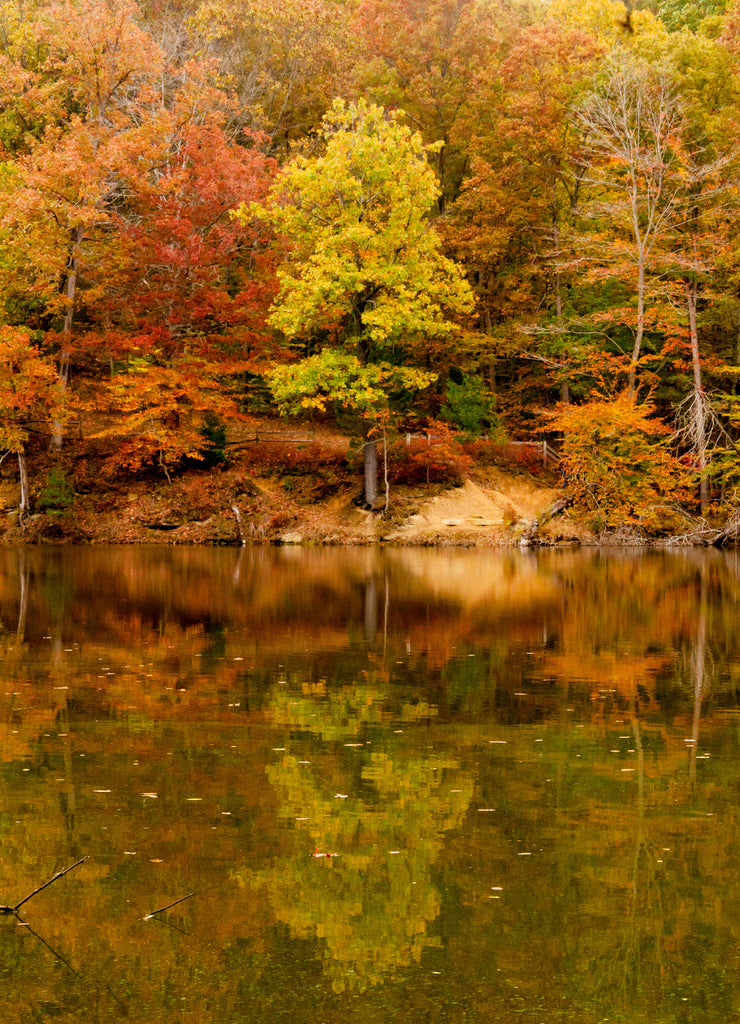 Brown County State Park - Autumn - Nashville, Indiana