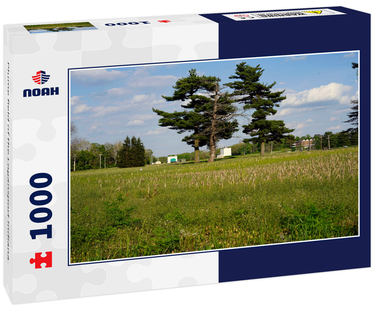 Plume field of the Logansport Indiana 