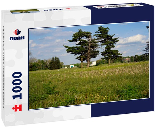 Plume field of the Logansport Indiana 