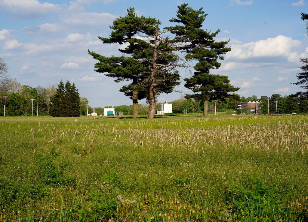 Plume field of the Logansport Indiana 
