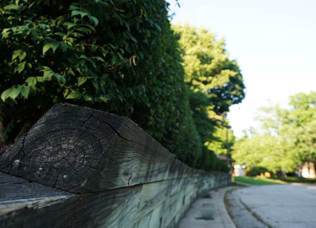 A Green Hedge with a Wooden Fence in Focus along the Road in the Town of Frankfort, Indiana. Wood close-up on a sunny day