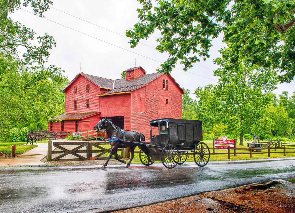 Amish Buggy at Bonneyville Mills, which is an Elkhart County Park near Bristol Indiana